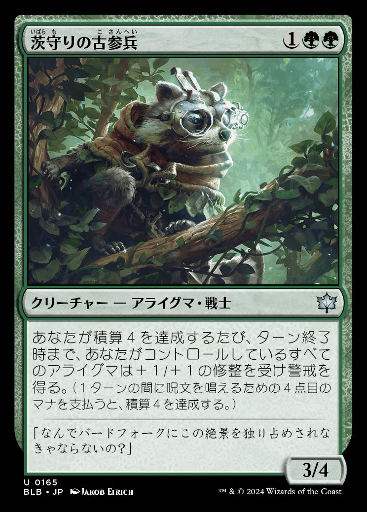 naokuroshop MTG [BLB][0165][緑][U][JP][茨守りの古参兵/Brambleguard Veteran] NM