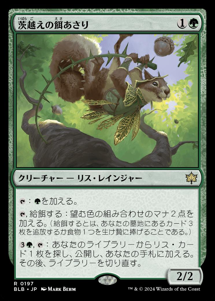 naokuroshop MTG [BLB][0197][緑][R][JP][茨越えの餌あさり/Thornvault Forager] NM