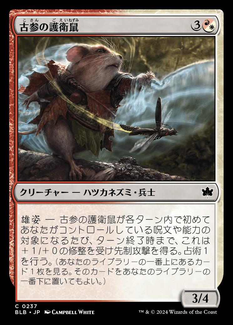 naokuroshop MTG [BLB][0237][多][C][JP][古参の護衛鼠/Veteran Guardmouse] NM