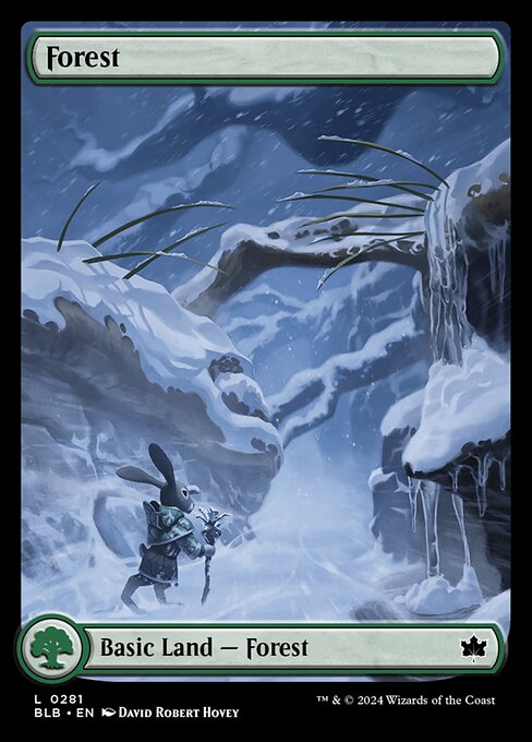 naokuroshop MTG [BLB][0281][土地][C][EN][森/Forest] NM