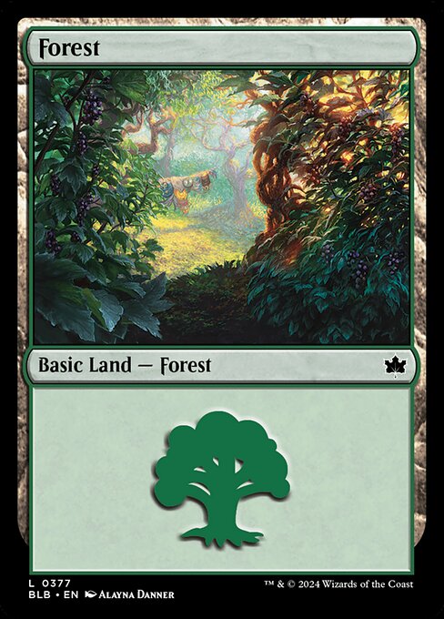 naokuroshop MTG [BLB][0377][土地][C][EN][森/Forest] NM