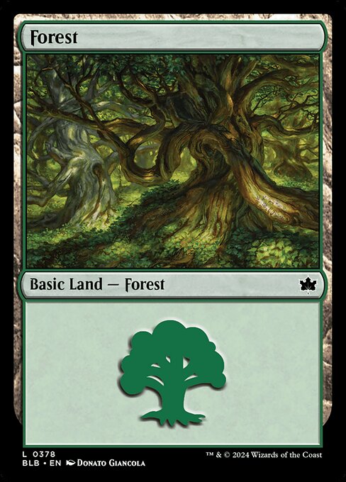 naokuroshop MTG [BLB][0378][土地][C][EN][森/Forest]（foil） NM