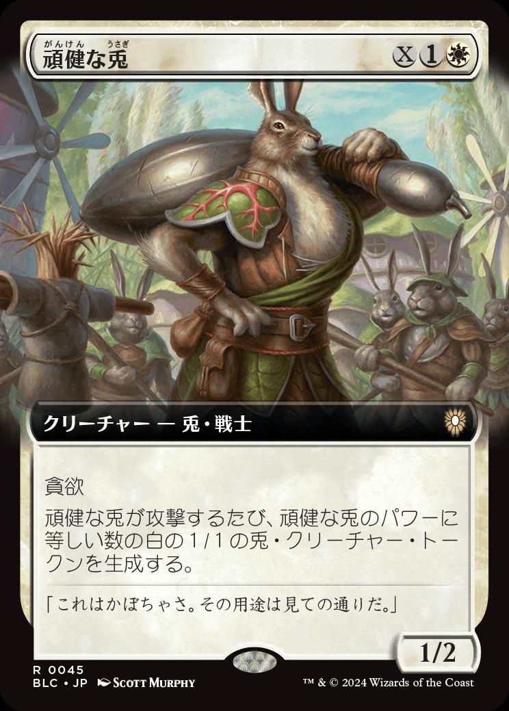 naokuroshop MTG [BLC][0045][白][R][JP][頑健な兎/Jacked Rabbit] NM