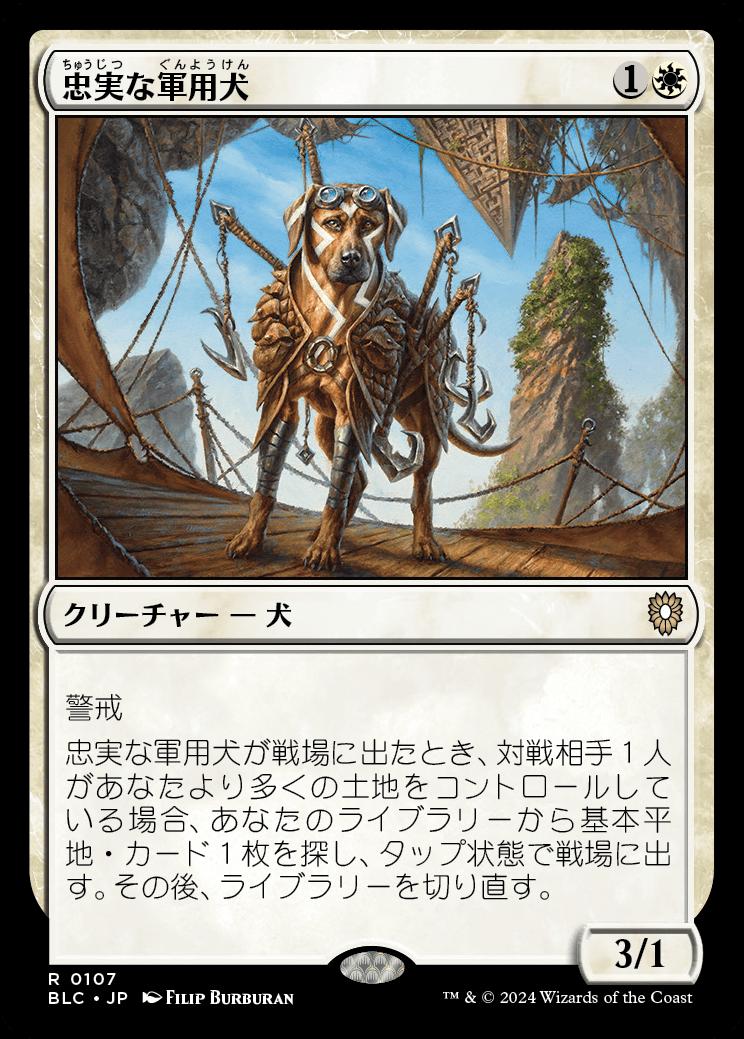 naokuroshop MTG [BLC][0107][白][R][JP][忠実な軍用犬/Loyal Warhound] NM