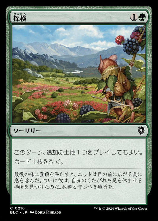 naokuroshop MTG [BLC][0216][緑][C][JP][探検/Explore] NM