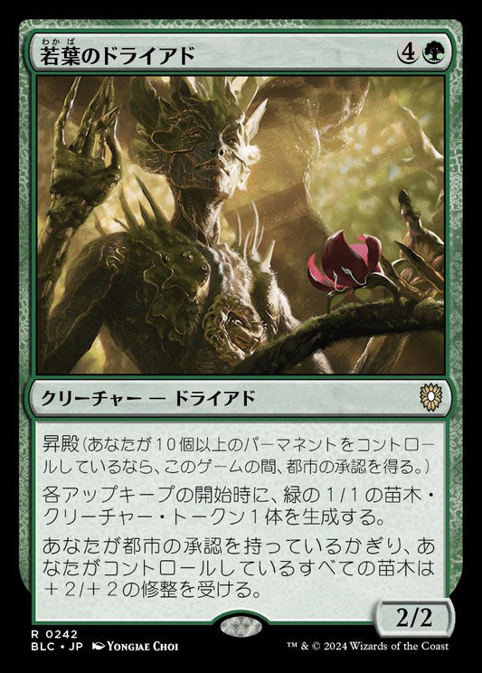 naokuroshop MTG [BLC][0242][緑][R][JP][若葉のドライアド/Tendershoot Dryad] NM