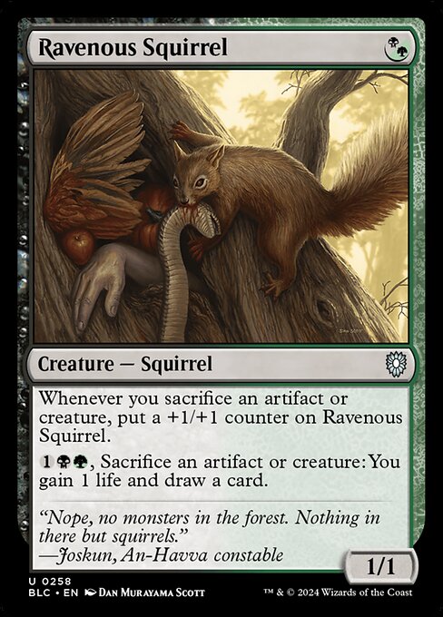 naokuroshop MTG [BLC][0258][多][U][EN][貪欲なるリス/Ravenous Squirrel] NM