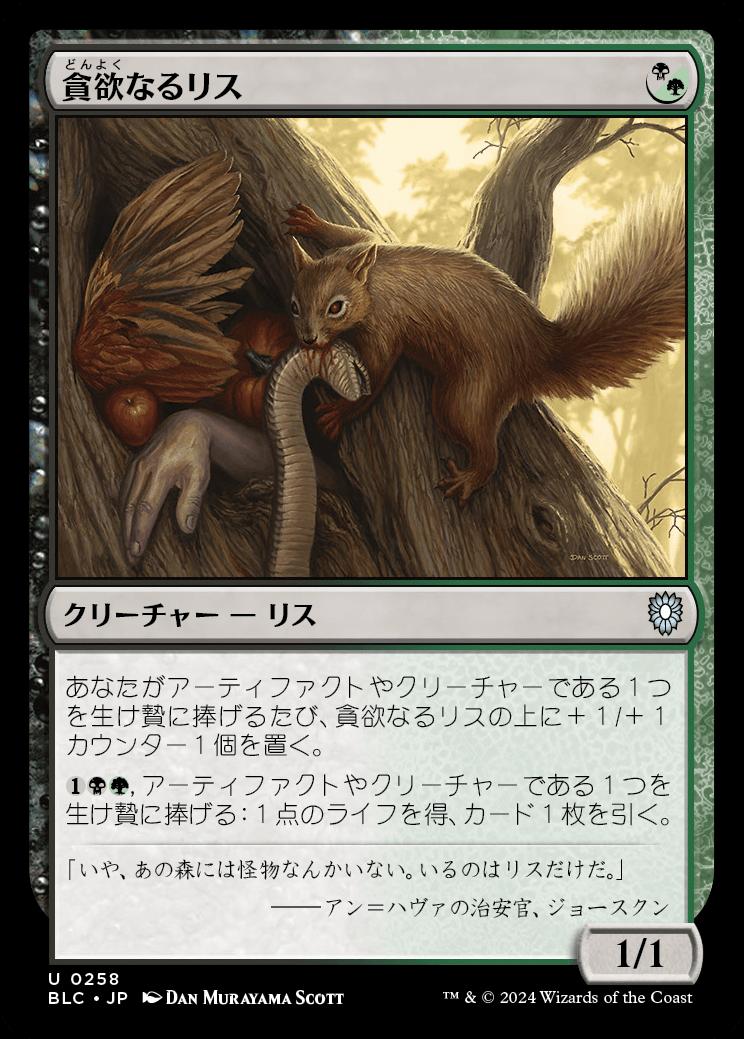 naokuroshop MTG [BLC][0258][多][U][JP][貪欲なるリス/Ravenous Squirrel] NM