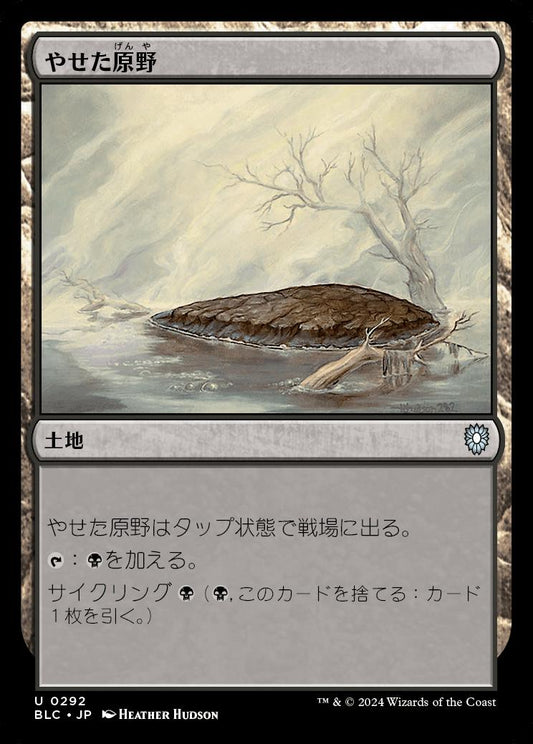 naokuroshop MTG [BLC][0292][土地][U][JP][やせた原野/Barren Moor] NM