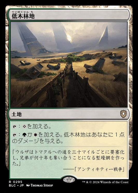 naokuroshop MTG [BLC][0295][土地][R][JP][低木林地/Brushland] NM