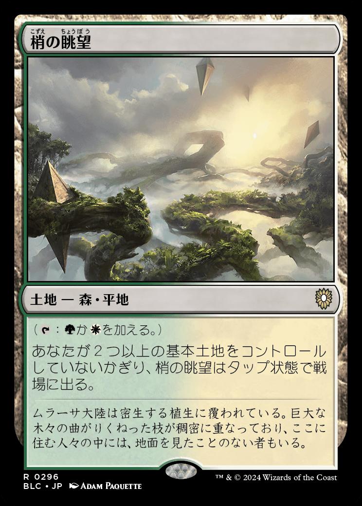 naokuroshop MTG [BLC][0296][土地][R][JP][梢の眺望/Canopy Vista] NM