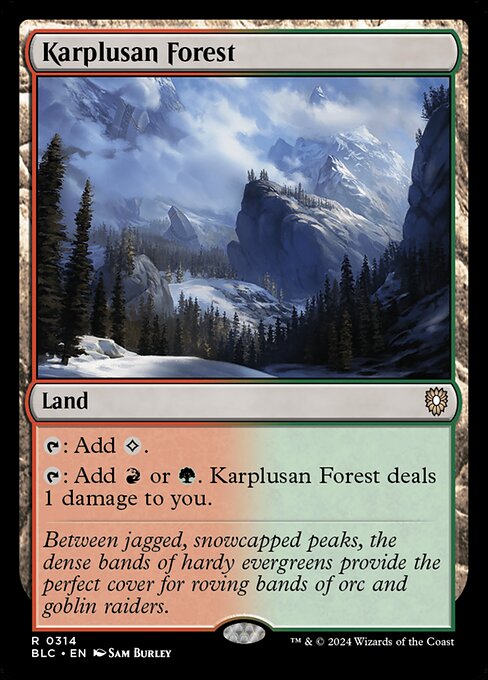 naokuroshop MTG [BLC][0314][土地][R][EN][カープルーザンの森/Karplusan Forest] NM