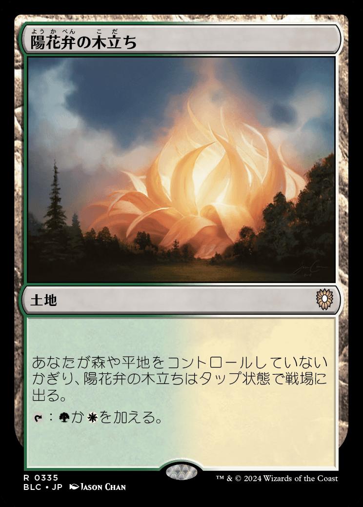 naokuroshop MTG [BLC][0335][土地][R][JP][陽花弁の木立ち/Sunpetal Grove] NM