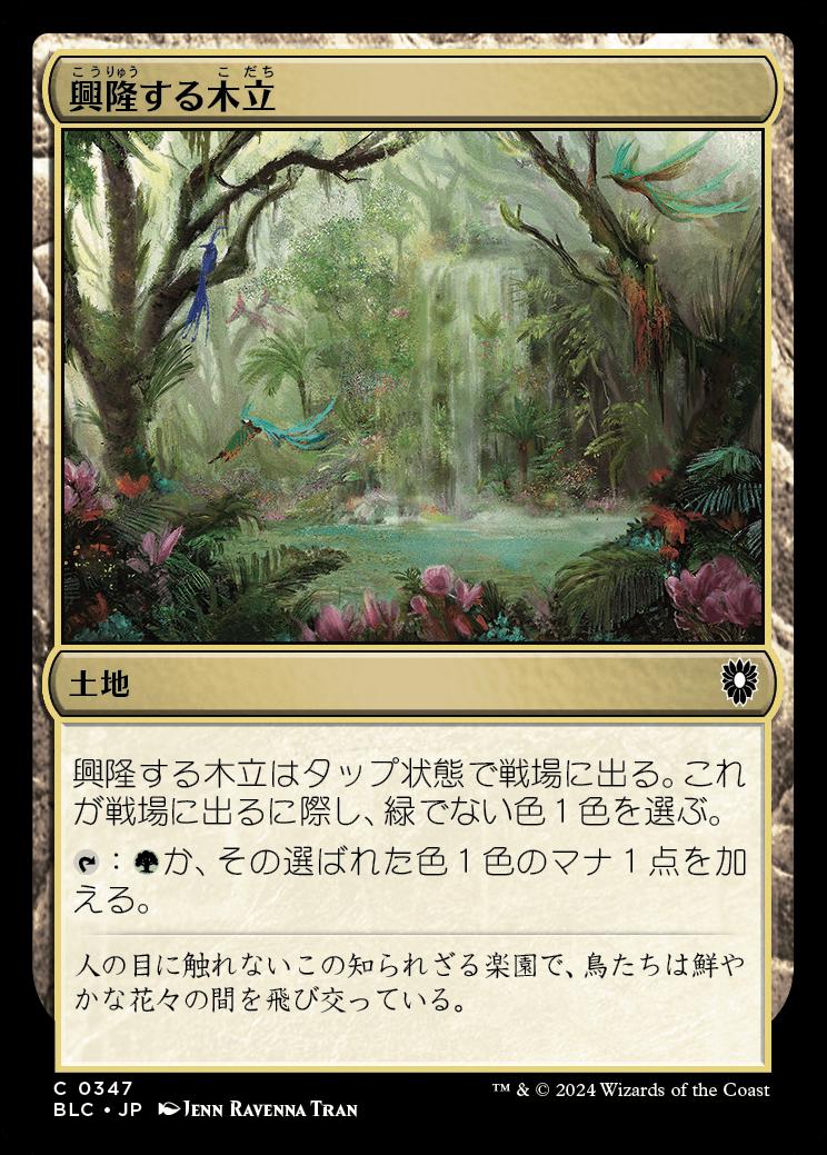 naokuroshop MTG [BLC][0347][土地][C][JP][興隆する木立/Thriving Grove] NM