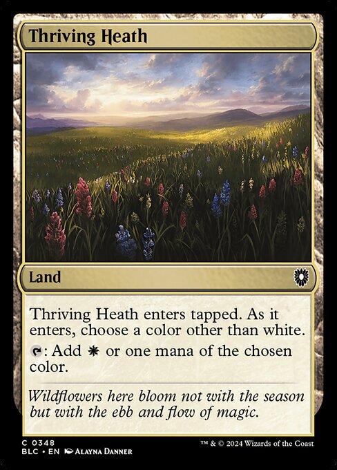 naokuroshop MTG [BLC][0348][土地][C][EN][興隆する荒野/Thriving Heath] NM