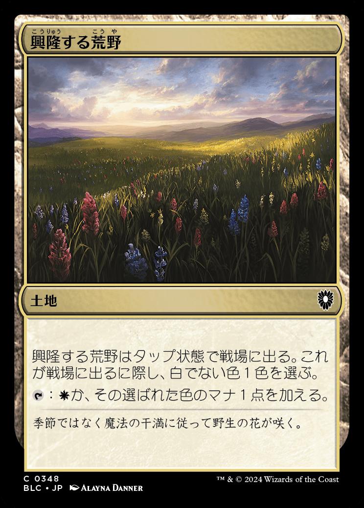 naokuroshop MTG [BLC][0348][土地][C][JP][興隆する荒野/Thriving Heath] NM