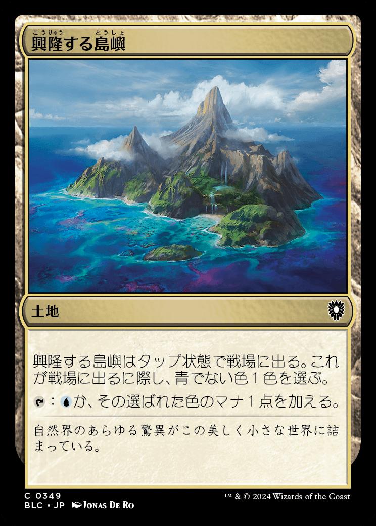 naokuroshop MTG [BLC][0349][土地][C][JP][興隆する島嶼/Thriving Isle] NM