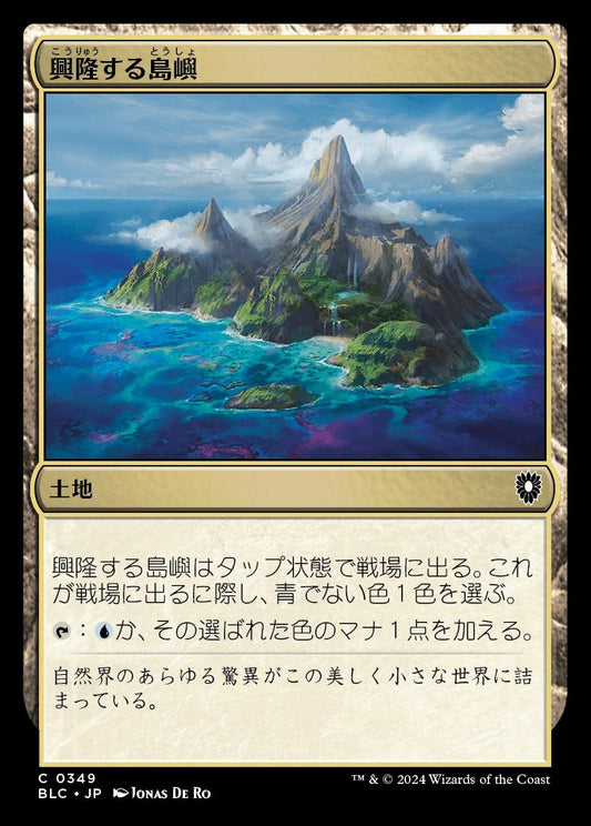 naokuroshop MTG [BLC][0349][土地][C][JP][興隆する島嶼/Thriving Isle] NM