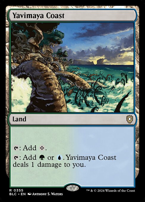 naokuroshop MTG [BLC][0355][土地][R][EN][ヤヴィマヤの沿岸/Yavimaya Coast] NM