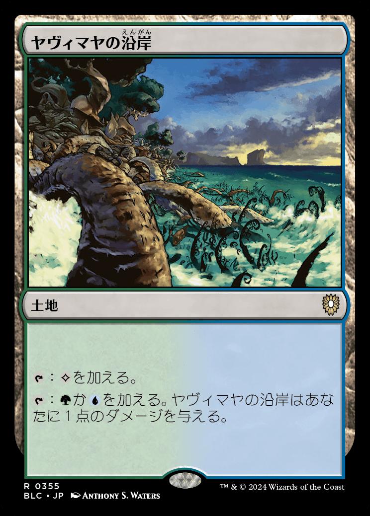 naokuroshop MTG [BLC][0355][土地][R][JP][ヤヴィマヤの沿岸/Yavimaya Coast] NM