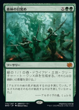 naokuroshop MTG [BRO][170][緑][M][JP][森林の目覚め/Awaken the Woods]（foil） NM