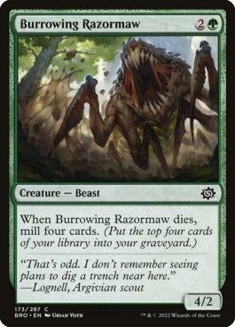 naokuroshop MTG [BRO][173][緑][C][EN][穴掘り剃刀大口/Burrowing Razormaw]（foil） NM