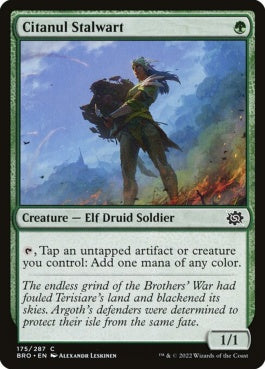 naokuroshop MTG [BRO][175][緑][C][EN][シタヌールの重鎮/Citanul Stalwart]（foil） NM