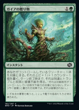 naokuroshop MTG [BRO][182][緑][C][JP][ガイアの贈り物/Gaea's Gift]（foil） NM