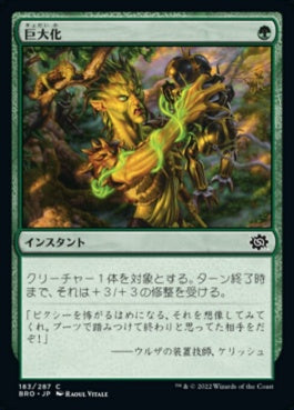 naokuroshop MTG [BRO][183][緑][C][JP][巨大化/Giant Growth]（foil） NM