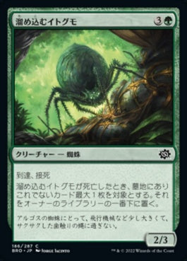 naokuroshop MTG [BRO][186][緑][C][JP][溜め込むイトグモ/Hoarding Recluse]（foil） NM