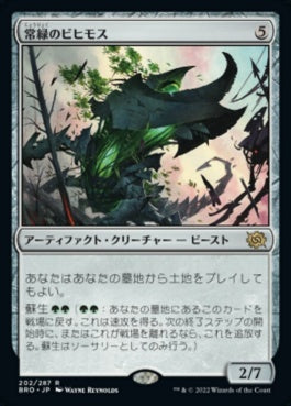 naokuroshop MTG [BRO][202][茶][R][JP][常緑のビヒモス/Perennial Behemoth] NM