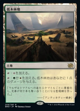 naokuroshop MTG [BRO][259][土地][R][JP][低木林地/Brushland]（foil） NM