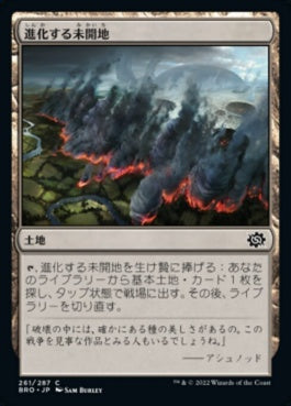 naokuroshop MTG [BRO][261][土地][C][JP][進化する未開地/Evolving Wilds] NM