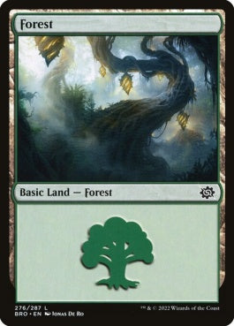 naokuroshop MTG [BRO][276][土地][C][EN][森/Forest]（foil） NM