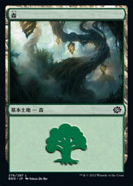 naokuroshop MTG [BRO][276][土地][C][JP][森/Forest] NM