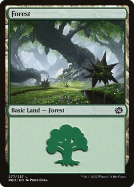 naokuroshop MTG [BRO][277][土地][C][EN][森/Forest]（foil） NM