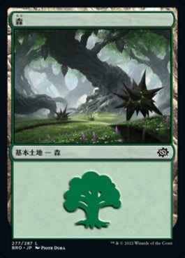 naokuroshop MTG [BRO][277][土地][C][JP][森/Forest] NM