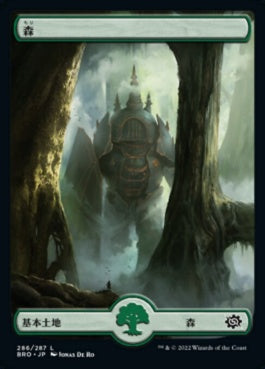 naokuroshop MTG [BRO][286][土地][C][JP][森/Forest] NM