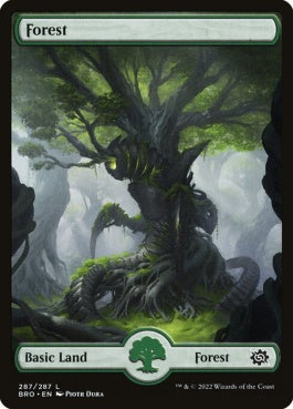 naokuroshop MTG [BRO][287][土地][C][EN][森/Forest] NM