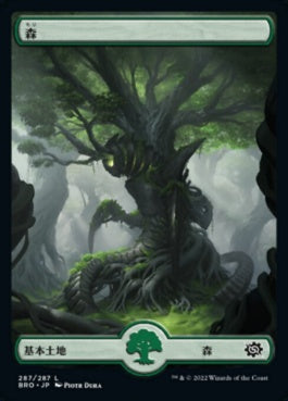 naokuroshop MTG [BRO][287][土地][C][JP][森/Forest]（foil） NM