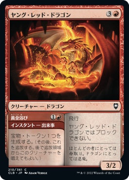 naokuroshop MTG [CLB][210][赤][C][JP][ヤング・レッド・ドラゴン/Young Red Dragon]（foil） NM