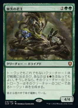 naokuroshop MTG [CLB][218][緑][M][JP][棘茨の君主/Bramble Sovereign]（foil） NM