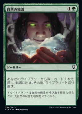 naokuroshop MTG [CLB][244][緑][C][JP][自然の知識/Nature's Lore]（foil） NM