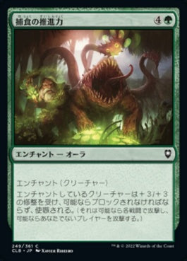 naokuroshop MTG [CLB][249][緑][C][JP][捕食の推進力/Predatory Impetus] NM