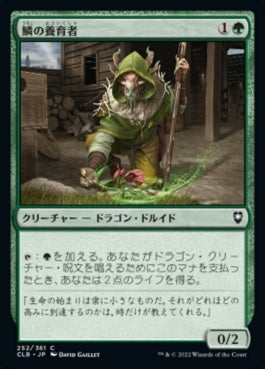 naokuroshop MTG [CLB][252][緑][C][JP][鱗の養育者/Scaled Nurturer]（foil） NM