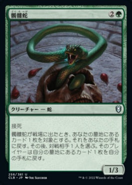 naokuroshop MTG [CLB][256][緑][U][JP][髑髏蛇/Skullwinder]（foil） NM