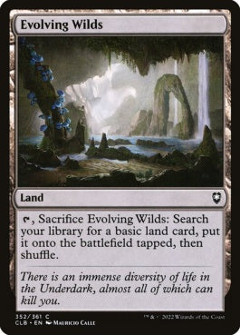 naokuroshop MTG [CLB][352][土地][C][EN][進化する未開地/Evolving Wilds]（foil） NM