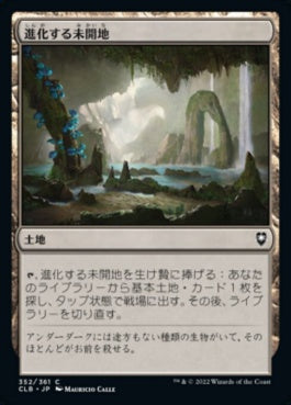 naokuroshop MTG [CLB][352][土地][C][JP][進化する未開地/Evolving Wilds] NM