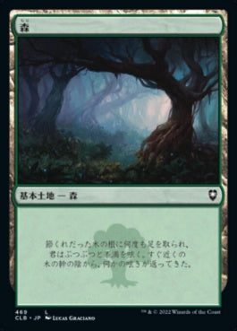 naokuroshop MTG [CLB][469][土地][C][JP][森/Forest]（foil） NM