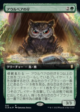 naokuroshop MTG [CLB][592][緑][R][JP][アウルベアの仔/Owlbear Cub] NM